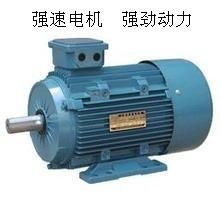 國標(biāo)全銅線，動(dòng)力強(qiáng)勁之選 臺(tái)州強(qiáng)速Y180L-6 15KW三相異步電動(dòng)機(jī)深度解析